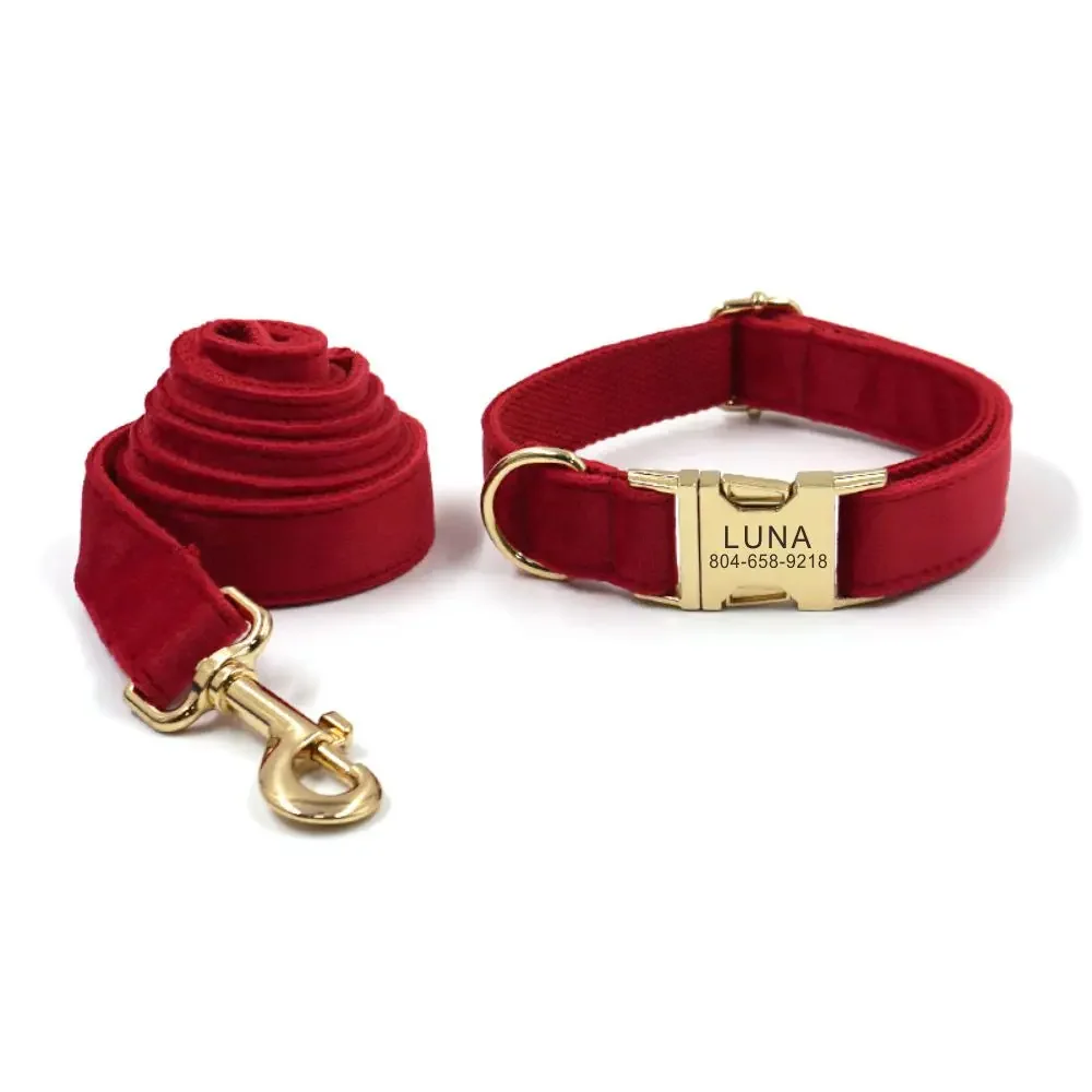 Collar para perro personalizado con etiqueta ID grabado gratis - imagen 5