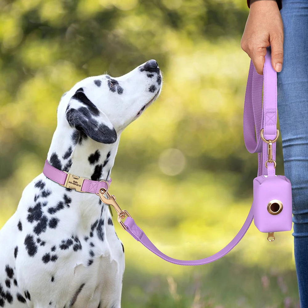 Juego de correa de Collar de perro personalizado, bolsa de cuero PU para perros, collares con hebilla para perros, correa para caminar para mascotas, bolsas de residuos para perros pequeños y medianos - imagen 5