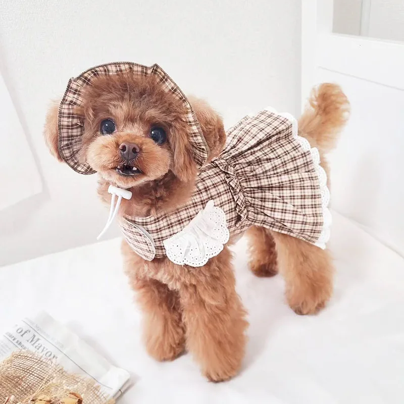 Conjunto de tracción a cuadros para mascotas, vestido con sombrero, princesa a cuadros, cumpleaños, caminar, salir de perros para fotos, conjunto de arnés y correa