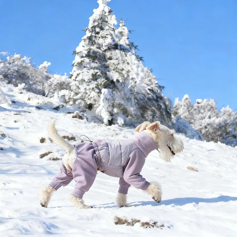 Abrigo de invierno para perros Whippet y Fox Terrier - imagen 3