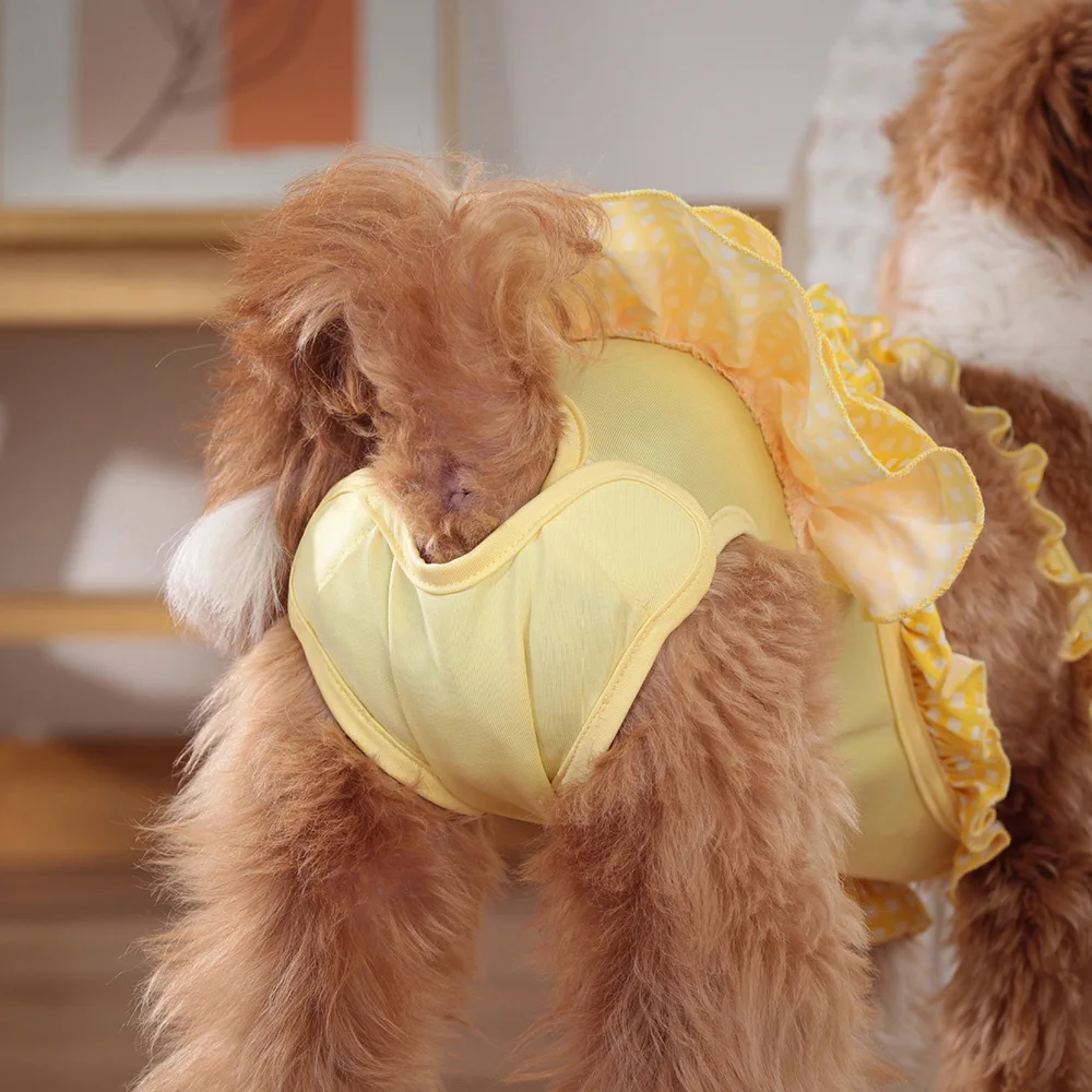 Vestido con mallas para perro y gato, ropa interior fisiológica para perros pequeños, Schnauzer Bichon, primavera y verano - imagen 5