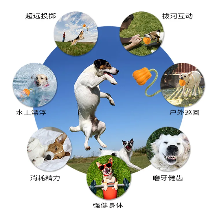 Suministros para mascotas Bola de calabaza de Halloween Juguetes para perros con sonido chirriante - imagen 2