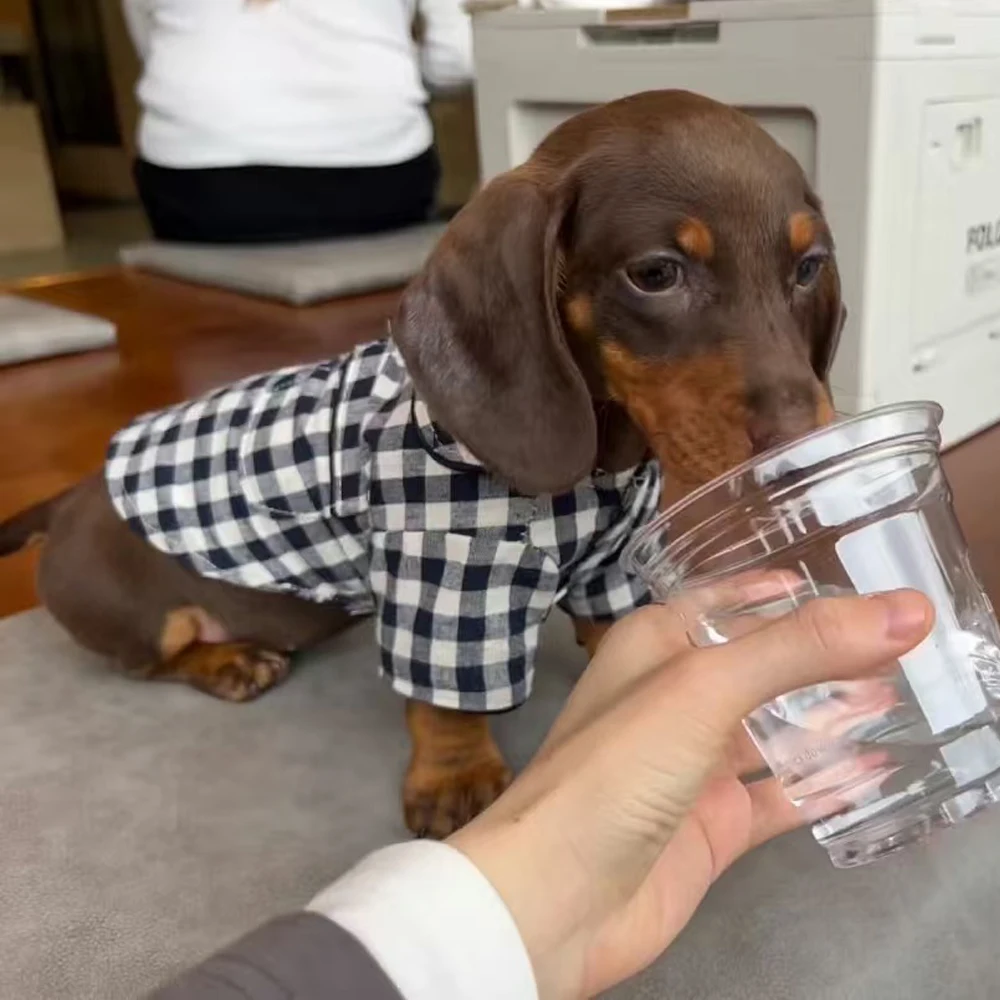 Pijama de cuadros para perros pequeños – Ideal para Dachshund - imagen 4