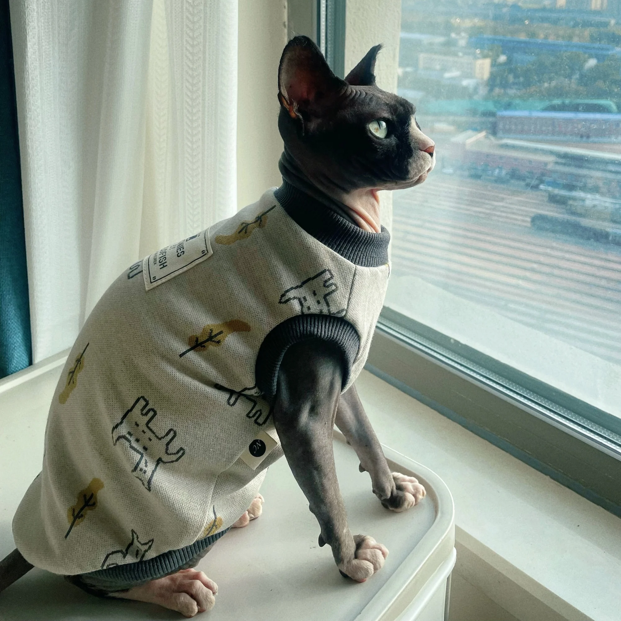 Camiseta de algodón gris elástico de alta calidad para Sphiynx Cat en primavera, chaleco con estampado de gatitos de manga corta, Pajiamas suaves para Devon Rex - imagen 2