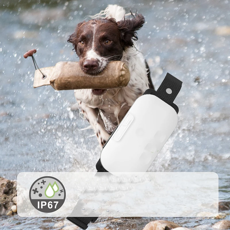 Collar de entrenamiento automático para perros, antiladridos, con combinación de 4 modos de trabajo, descarga eléctrica opcional, entrenador para dejar de ladrar - imagen 2