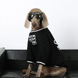 Conjunto deportivo primavera para perros grandes Golden Retriever