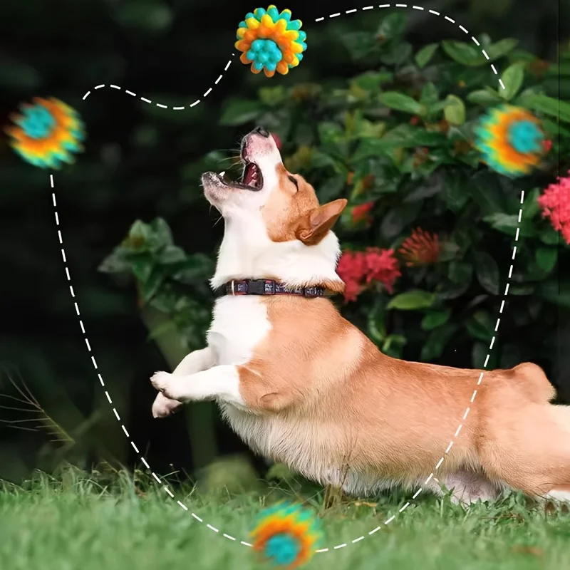 Juguete para masticar para perros TPR, pelota para mascotas resistente a mordeduras, juguete duradero para perros pequeños y medianos, juguetes de limpieza para moler dientes de cachorro, accesorios para perros - imagen 5