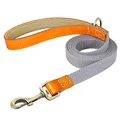 gray leash