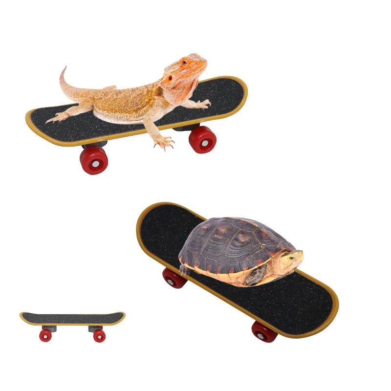 Patineta rodante con ruedas antideslizantes para tortugas, aves y loro