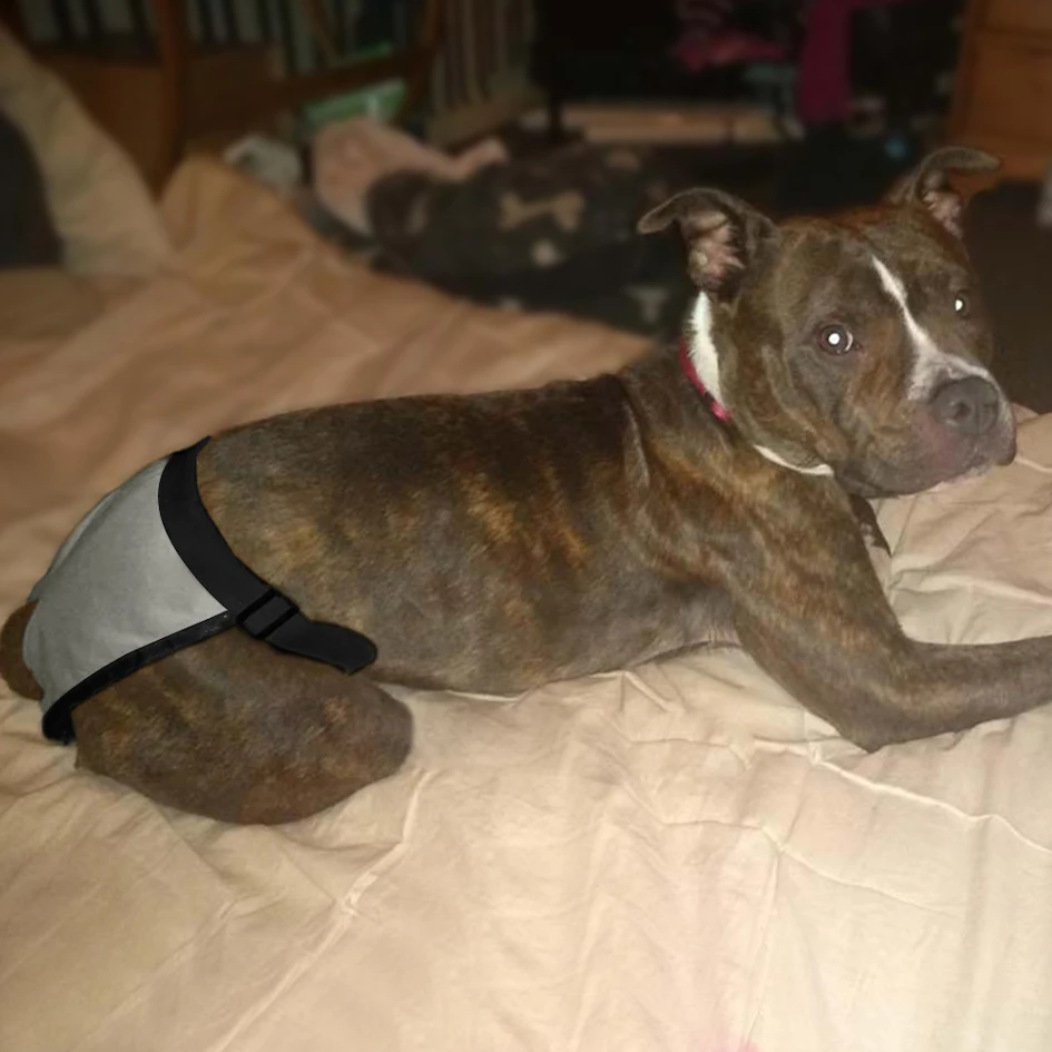 Protección medio ambiente - Opción ecológica