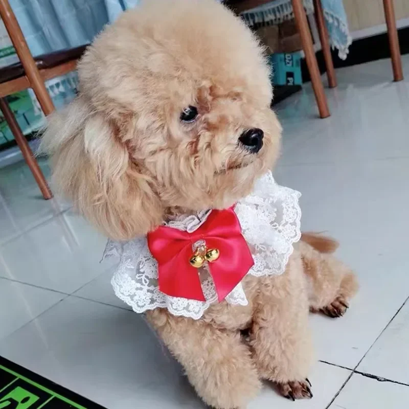 Lindo Collar de gato con lazo de encaje, bordado de malla, babero para mascotas, tela para eructar, Collar encantador para perros y gatos, correa para el cuello para perros pequeños y medianos - imagen 2