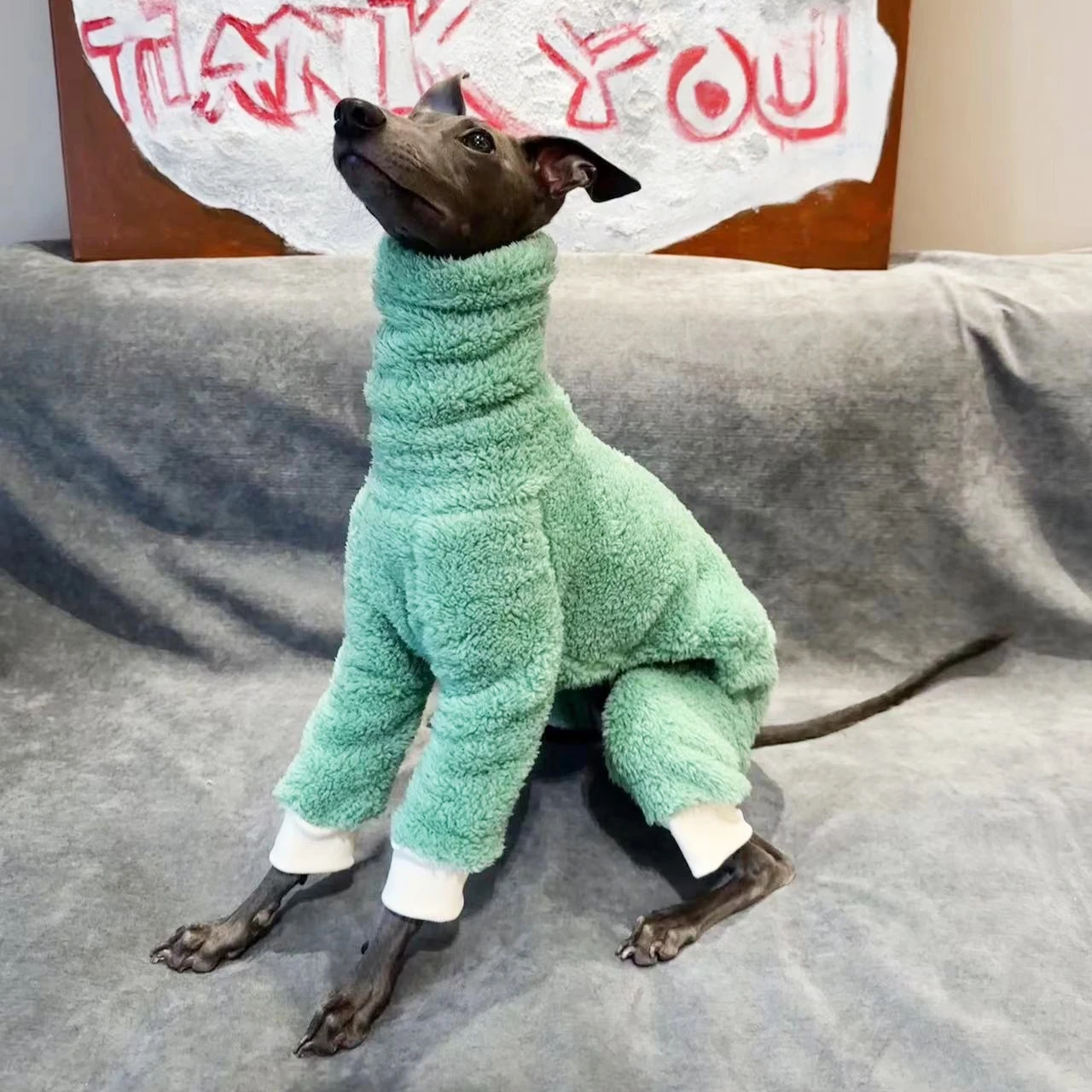 Ropa de lana de doble cara para perro, abrigo cálido de Galgo para mascotas, ropa verde para cachorros, Invierno