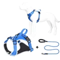 Blue dog harness set