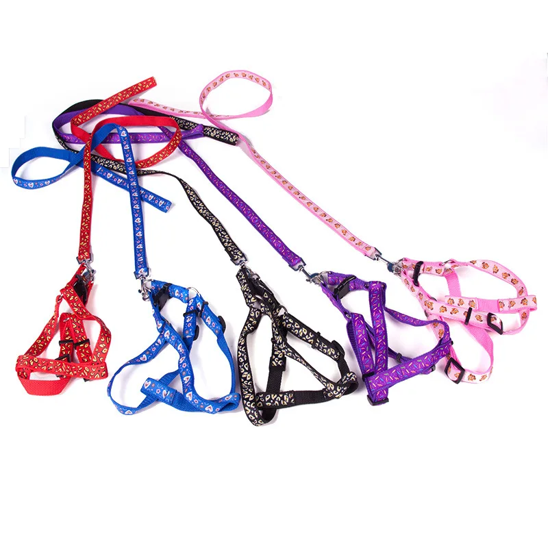 Arnés para perros pequeños y gatos, correa, chaleco ajustable, Collar para cachorros, caminatas al aire libre, Chihuahua Terier Schnauzer - imagen 5