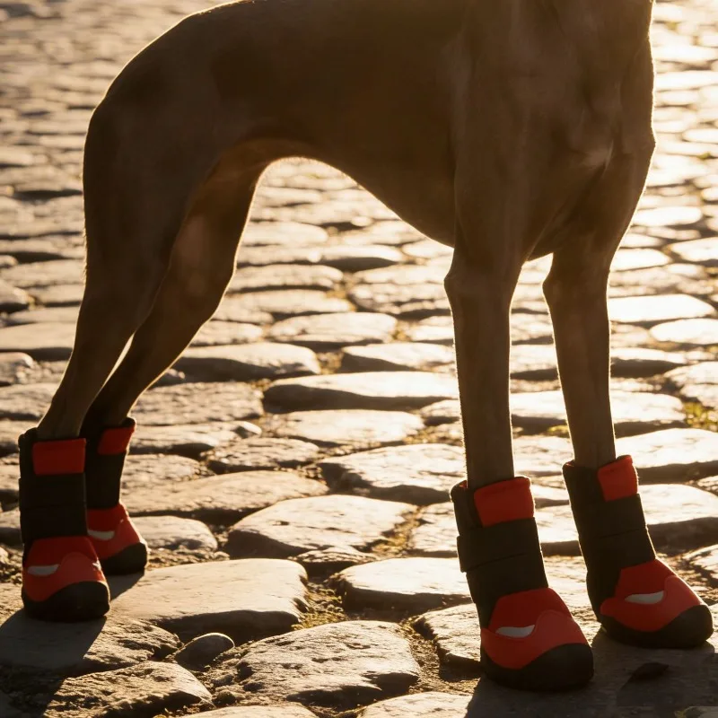 Zapatos para perro antideslizantes transpirables 4 estaciones - imagen 4