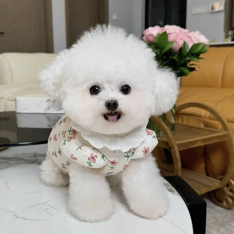 Lindo abrigo con estampado Floral para mascotas, chaqueta cálida de peluche, ropa gruesa de Bichon, abrigo para cachorros con botones y hebilla de tracción - imagen 2