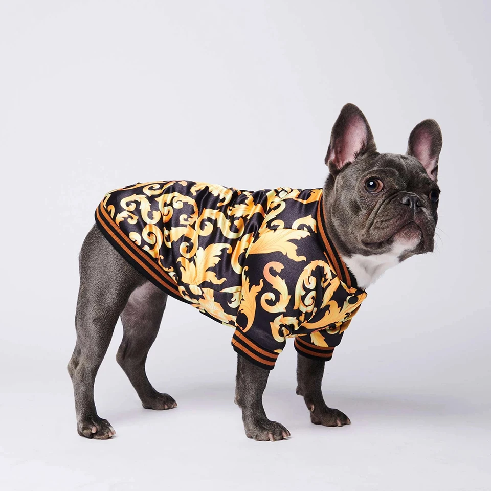 NONOR-Chaqueta con bordado dorado Para perro, abrigo, Ropa cálida Para Perro, traje Para cachorros de Bulldog Francés, Chaqueta de algodón Para Perro - imagen 2