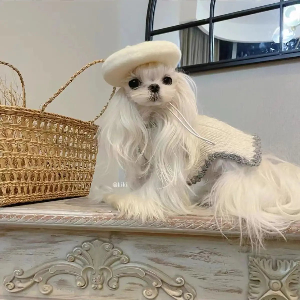 Autumn and Winter Pet Lace Sweater Cute Knitted Vest Small Dog Teddy Pet Coat Dog Christmas Clothes Puppy Clothes - imagen 2