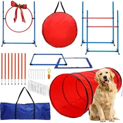 Agilidad para perros: túneles, saltos y obstáculos en jardín