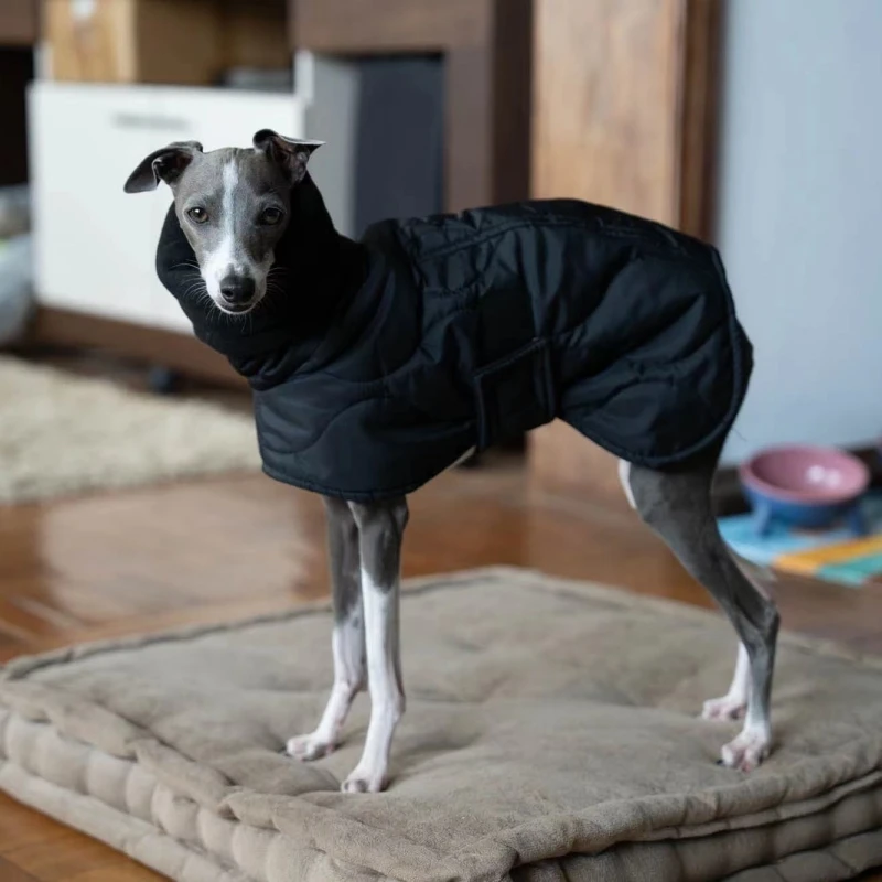 Abrigo de algodón con cuello alto de invierno, resistente al viento, impermeable, abrigo cálido para perros, galgo italiano, ropa para mascotas Whippet