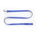 Blue-Leash