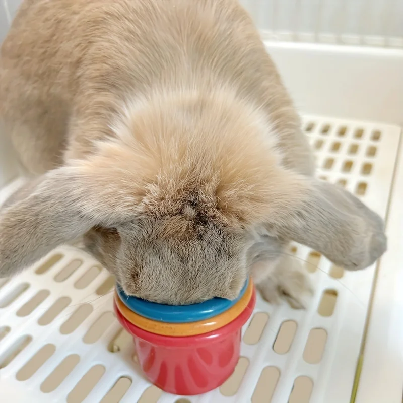 8 Uds. Tazas de conejo apilables, juguetes ricos de animales pequeños y coloridos, juegos ocultos de aperitivos interactivos, adecuados para conejos, hámsteres - imagen 3