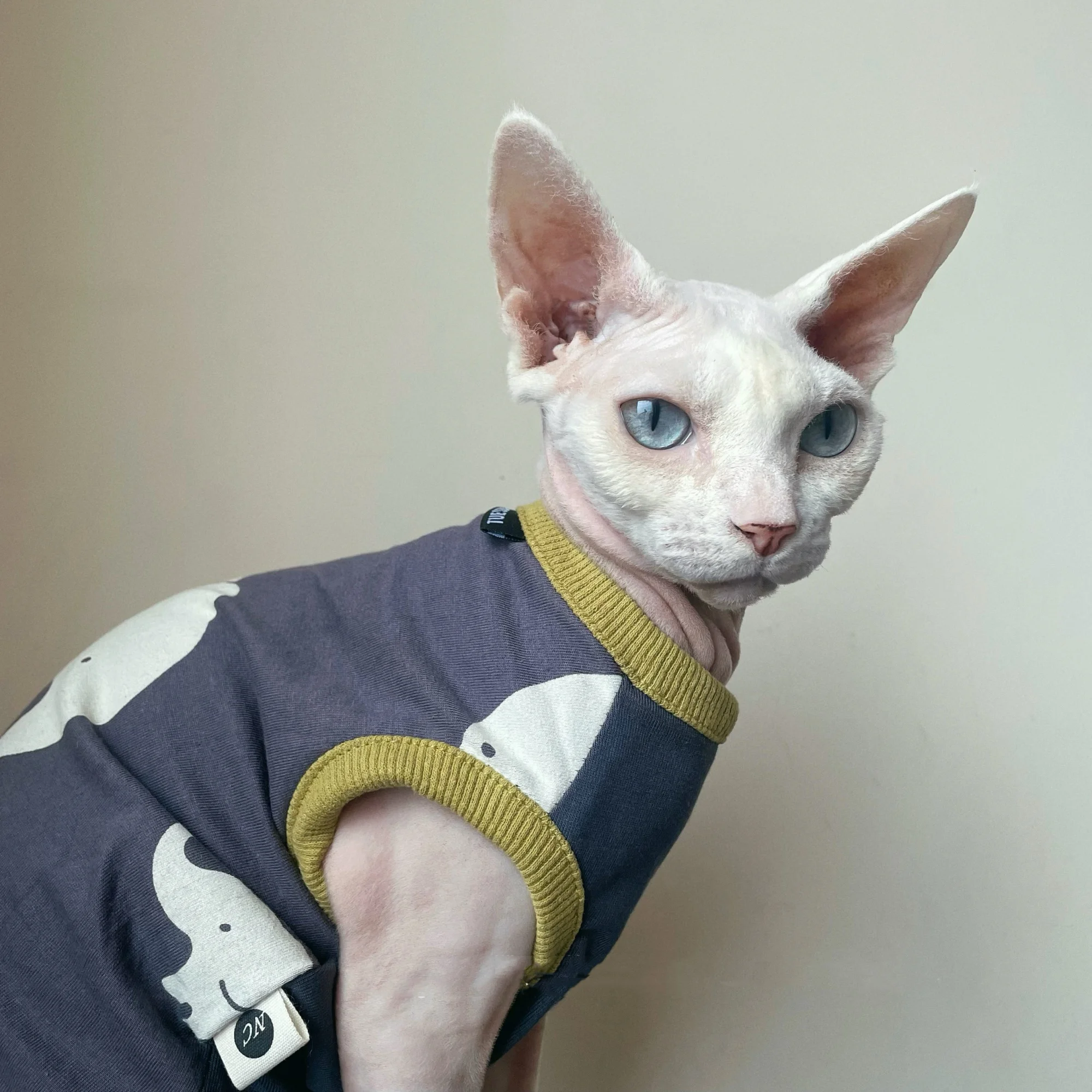Linda camiseta gris con estampado de elefante para gato sin pelo en primavera Cartton Chaleco de dibujos animados para esfinge en disfraces de gatitos de verano - imagen 3