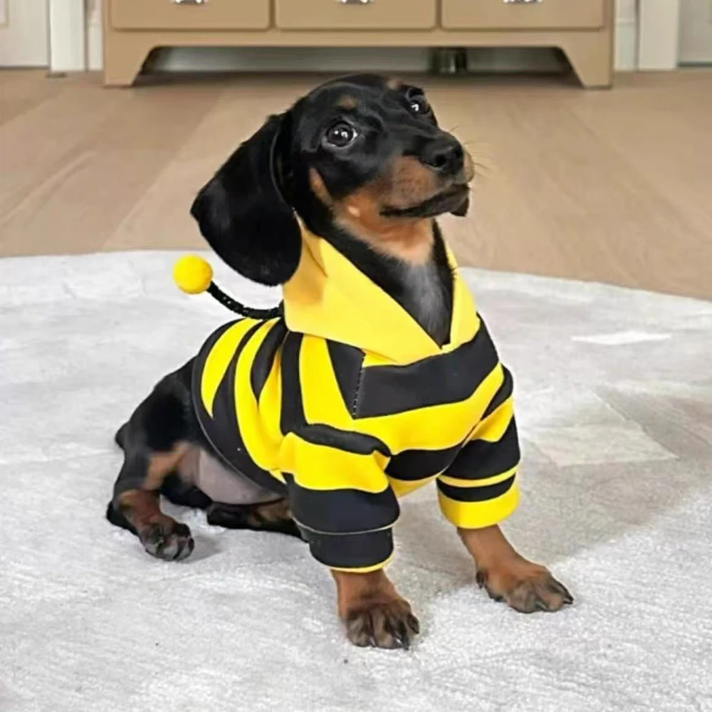 Sudadera capucha rayas para perro Dachshund - Tallas S a XL