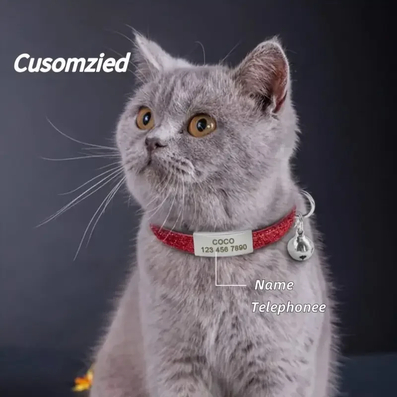 Collar con hebilla de seguridad para gatos con purpurina, ajustable, personalizado, sin identificación, grabado, Collar de nailon para cachorros y gatitos - imagen 2