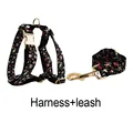 Harness   leash
