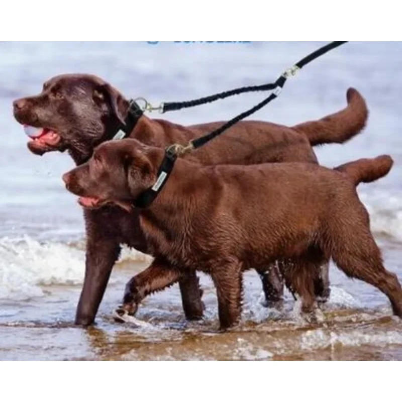 Acopladores de 2 vías para perros, correa elástica extendida para entrenamiento al aire libre, para dos perros dobles, pequeños, medianos y grandes, cosas de plomo - imagen 3
