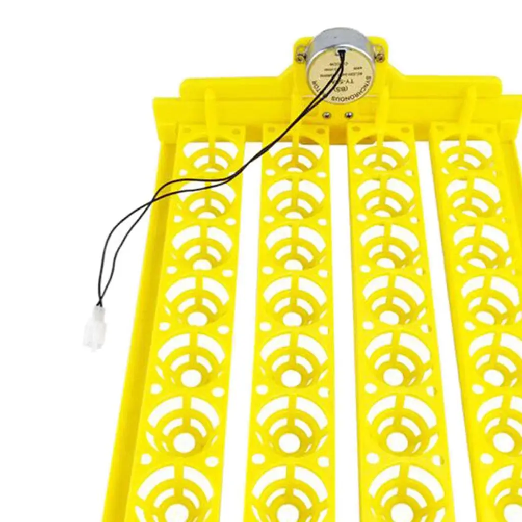 Egg Incubator Tray Automatic Turning Small er Household 220V 32 Eggs Tray for Bird Poultry Chick Duck Eggs Egg Incubator Tray Automatic Turning Small er Household 220V 32 Eggs Tray for Bird Poultry Chick Duck Eggs