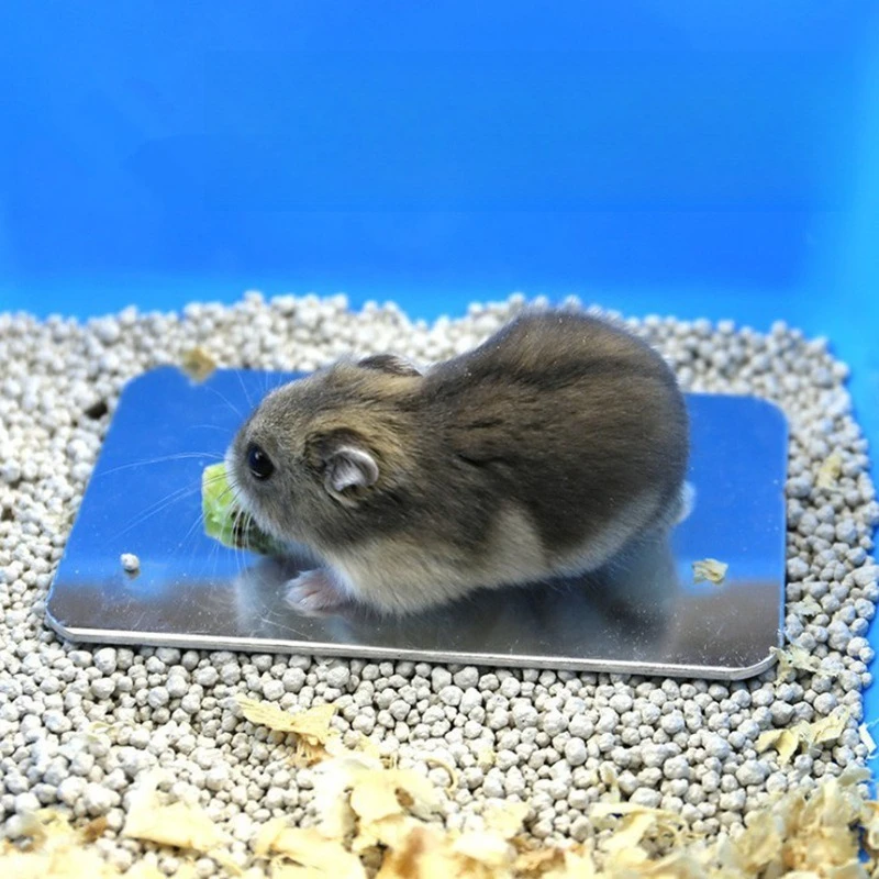 Tablero de enfriamiento duradero de aluminio y plástico para mascotas, suministros de conejo y hámster plateado, tablero de enfriamiento para hámster, almohadilla de hielo para mascotas - imagen 2