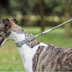 Collar ajustable con estampados para perros con correa de nylon