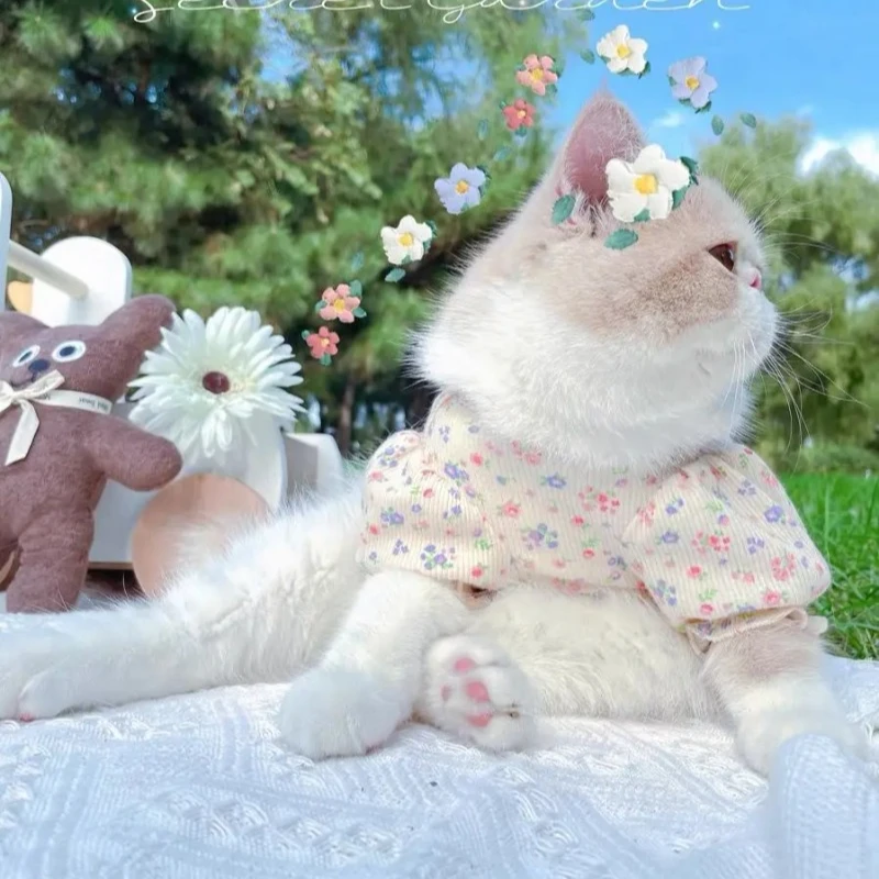 Ropa Floral de encaje para mascotas, camisa Base con manga de burbuja para mascotas, osito de peluche para perros pequeños, Sudadera con capucha para gatos, ropa para perros pequeños - imagen 2