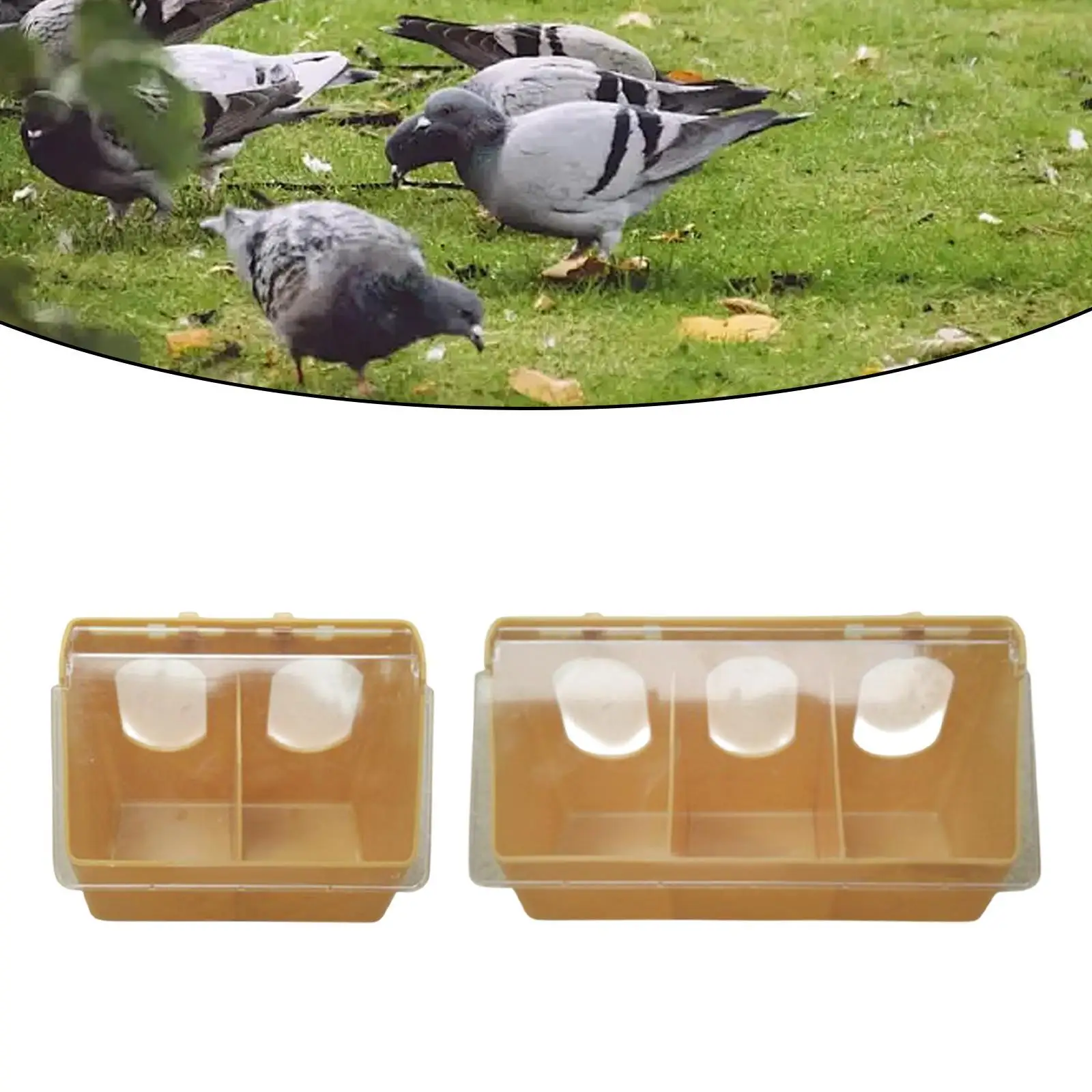 Bird Feeder Pigeon Feeder Water Water Dispenser Food Feeding Station Food Container Hanging Parrot Feeder for Parakeet Pigeon