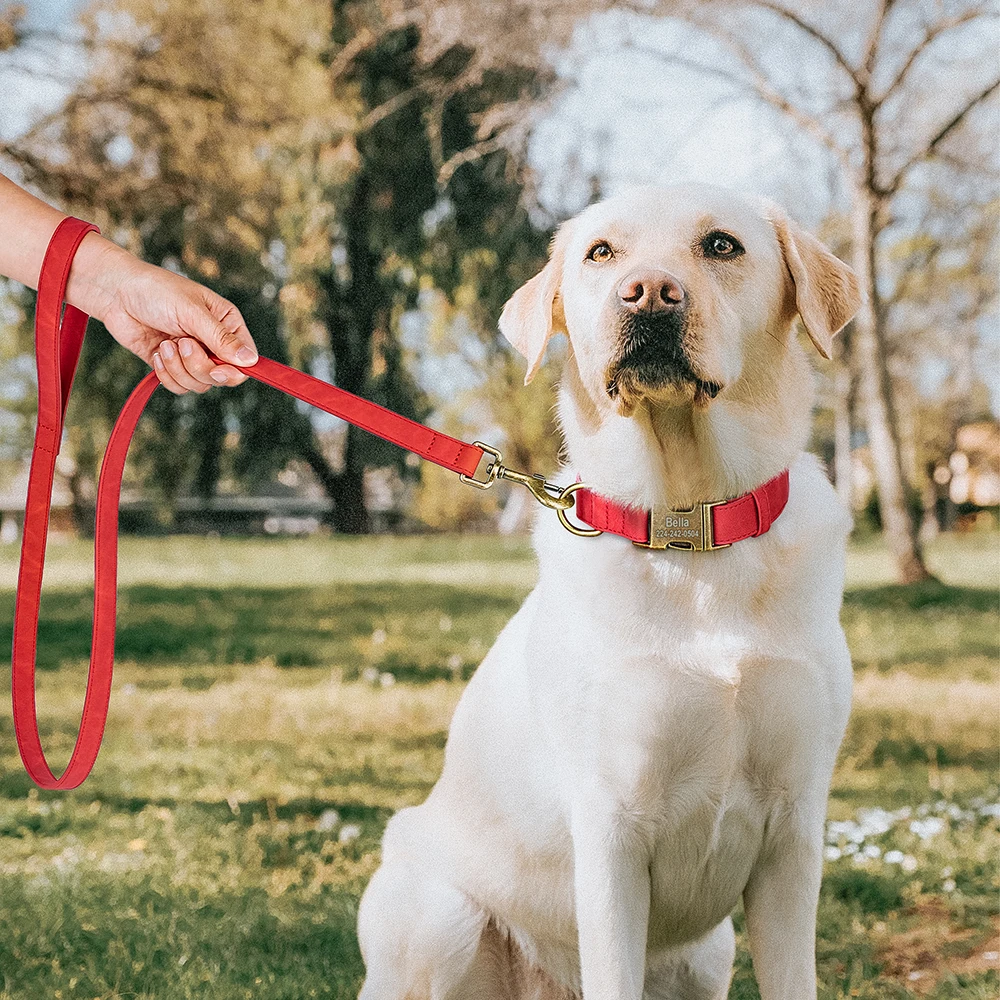 Collar de cuero PU personalizado para perro, Correa antipérdida con hebilla de Metal grabada gratis para perros pequeños y medianos - imagen 5