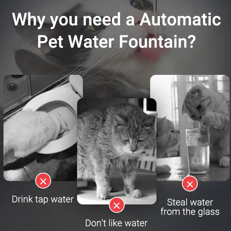 ROJECO-fuente de agua automática para gatos, dispensador de agua recargable para mascotas, Filtro inteligente para beber con bomba, tazón para bebidas para gatos - imagen 2