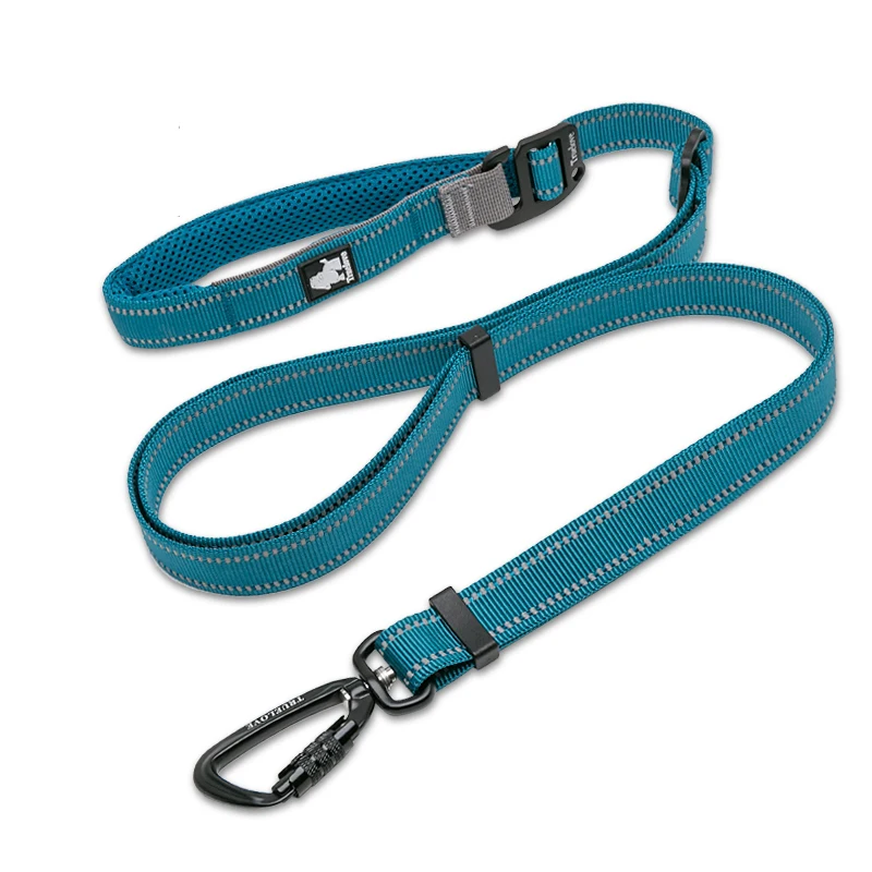 Correa ajustable para perros con asa acolchada de nylon – paseo cómodo