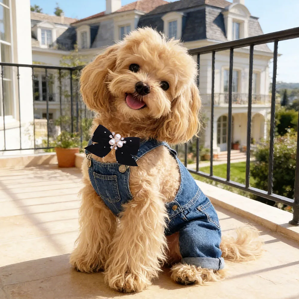 Corbatas de Moño para Perros y Collares para Gatos – Pack de 30 - imagen 4