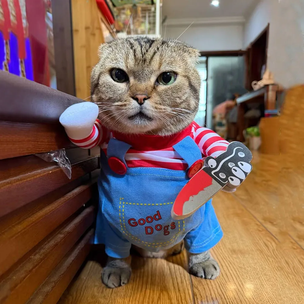 Ropa bonita para gatos, disfraz de Halloween para perros pequeños, medianos y grandes, ropa divertida para cachorros y gatitos, disfraz de Yorkie Sphynx