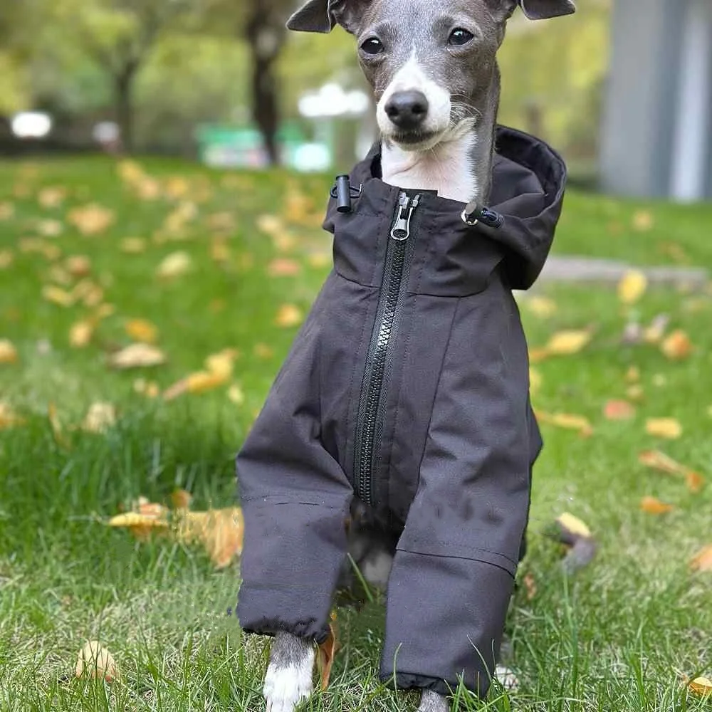 Chaqueta de invierno impermeable a prueba de viento negra para Italia Chubasquero de terciopelo galgo Sudadera con capucha con cremallera de vellón cálido suave para perro - imagen 2