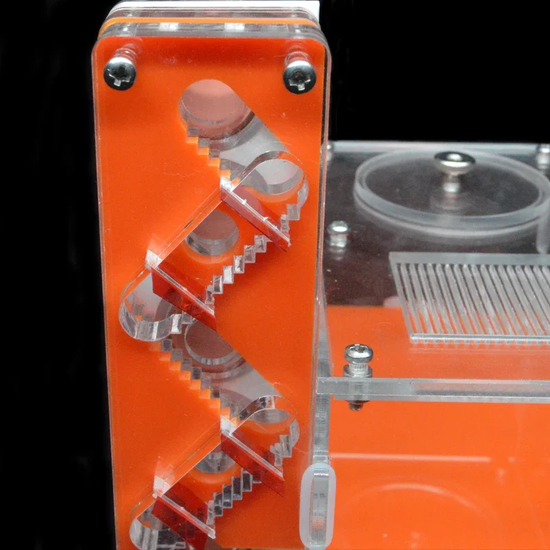 DIY acrílico granja de hormigas 5 uds 18-180mm nido de tubo de ensayo de yeso con área de alimentación antill para mascotas taller casa de hormigas Castillo de nido de hormiga de reina - imagen 5