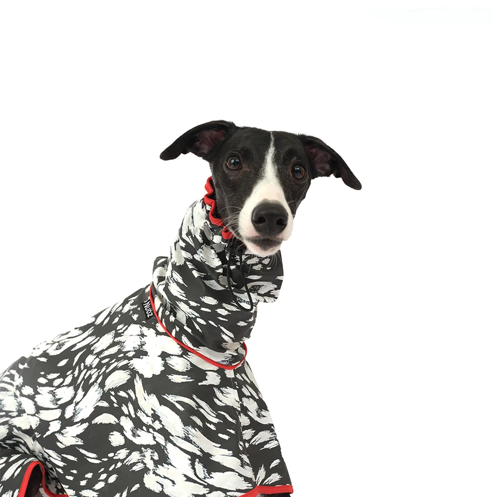 Abrigo de PU con cintura ajustable Fahison para galgo italiano, impermeable, resistente al viento, capa cálida para perro Whippet - imagen 2