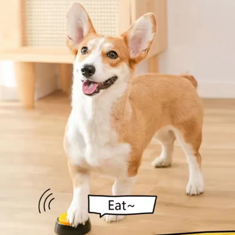 Botones parlantes para perros y gatos – Juguete divertido interactivo - imagen 5