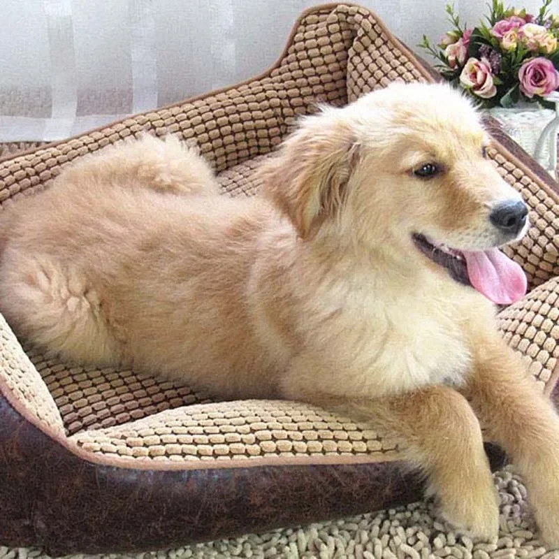 Casa grande para perros, cama impermeable y cómoda para mascotas, camas para perros grandes, perrera para cachorros, productos para mascotas de interior