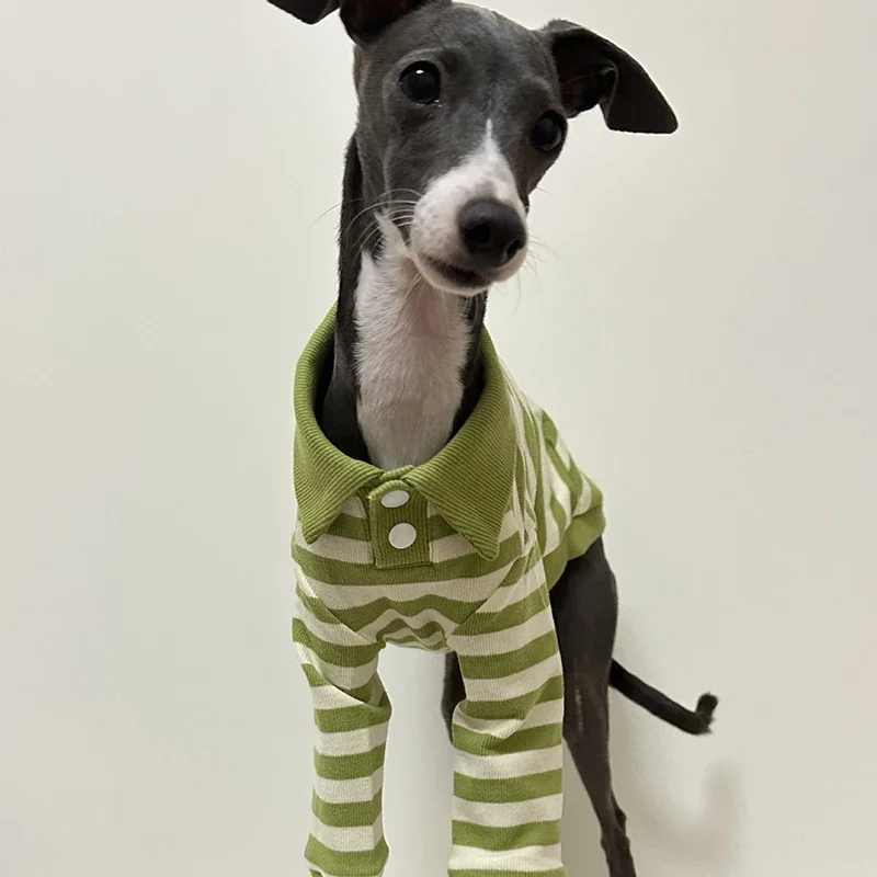 Camisa POLO para perros a rayas verdes, ropa de algodón, camisas POLO para perros de diseñador de lujo, cachorro pequeño, mediano y grande, perro de invierno de Año Nuevo - imagen 4