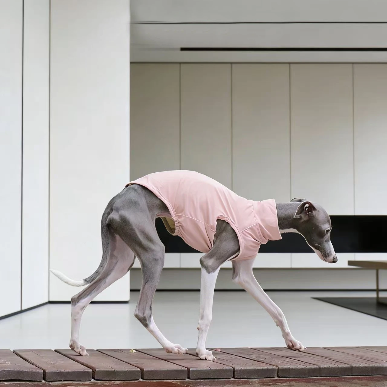 Chaleco rosa veraniego Galgo Italiano Whippet – Fresco perros pequeños - imagen 4
