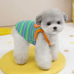 Ropa para perros y gatos – Chalecos, camisetas y sudaderas