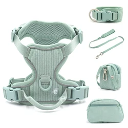 Conjunto collar y arnés para perros con Airtag antipérdida - Verde